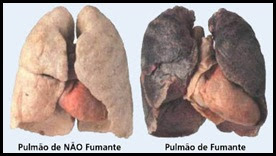 O áudio uma conferência como deixar de fumar